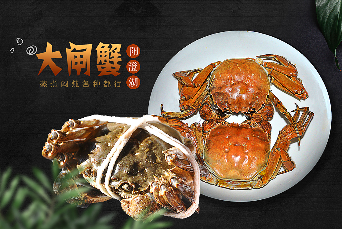 阳澄湖大闸蟹