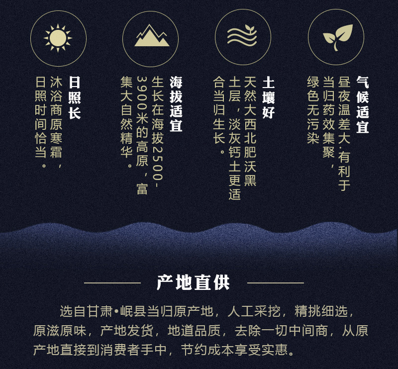甘肃当归
