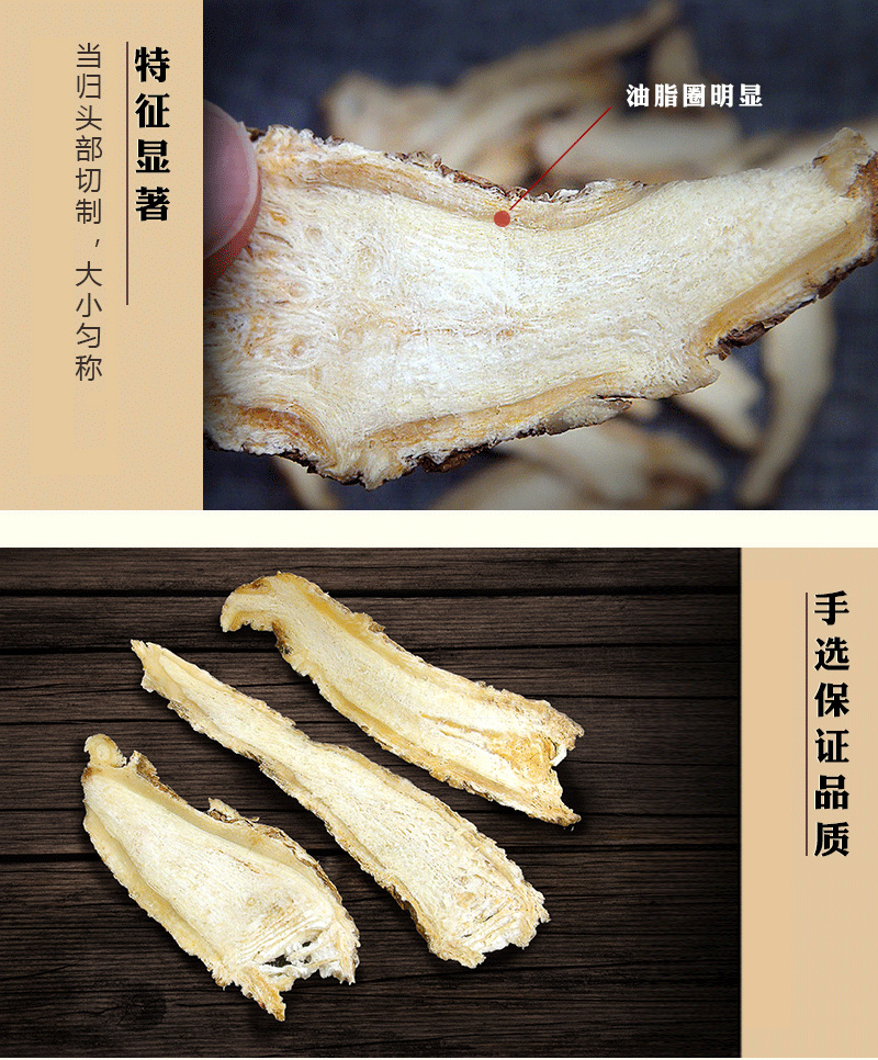 甘肃当归
