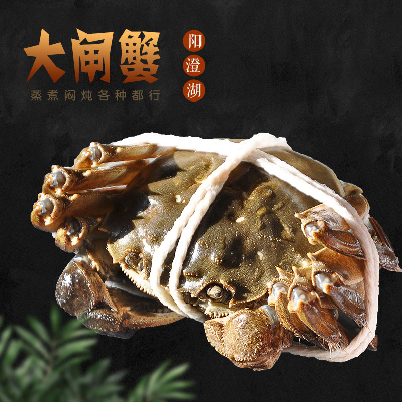 阳澄湖大闸蟹