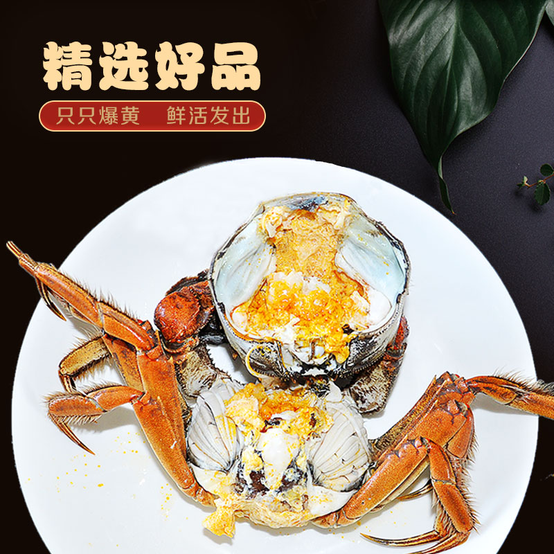 阳澄湖大闸蟹