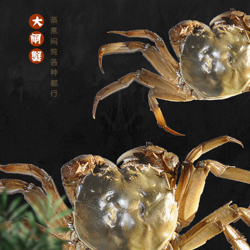 阳澄湖大闸蟹