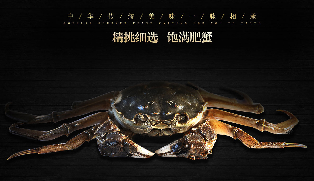 阳澄湖大闸蟹