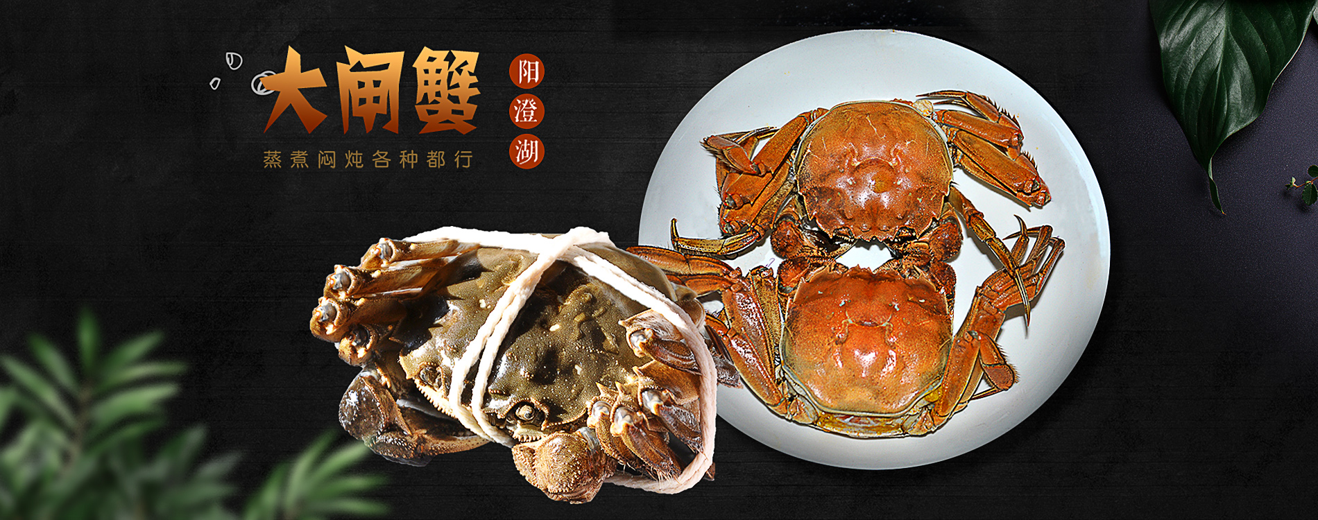 阳澄湖大闸蟹