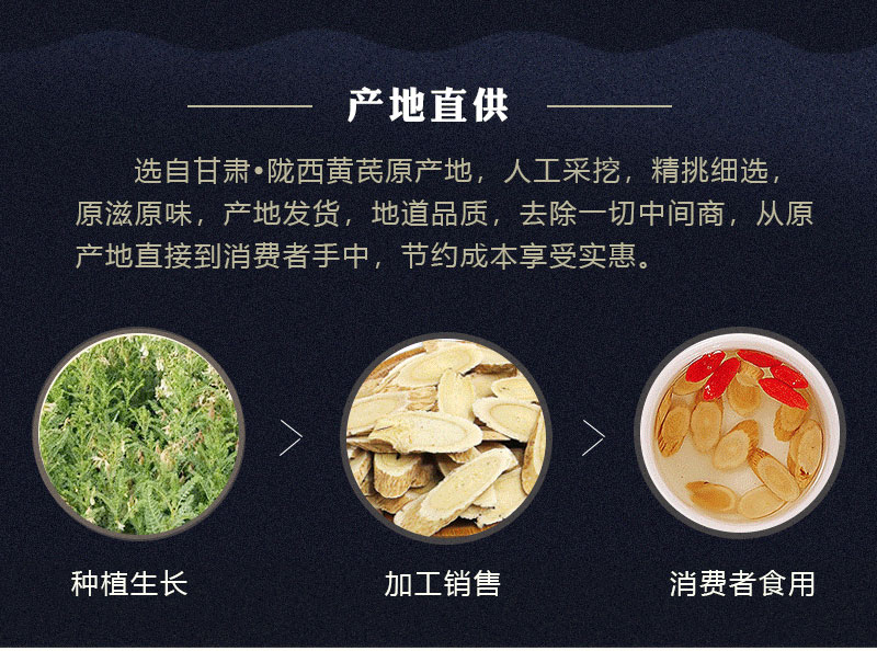 甘肃黄芪