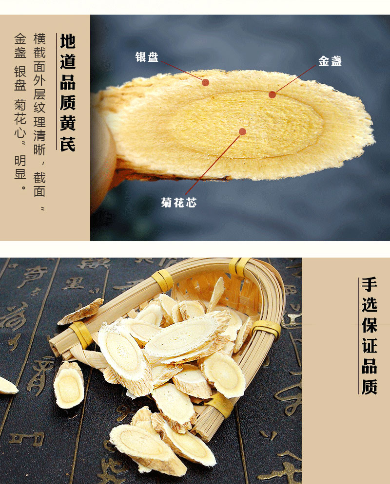 甘肃黄芪